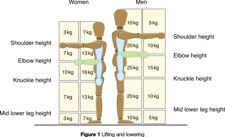 An Excerpt From the Health and Safety Authority 